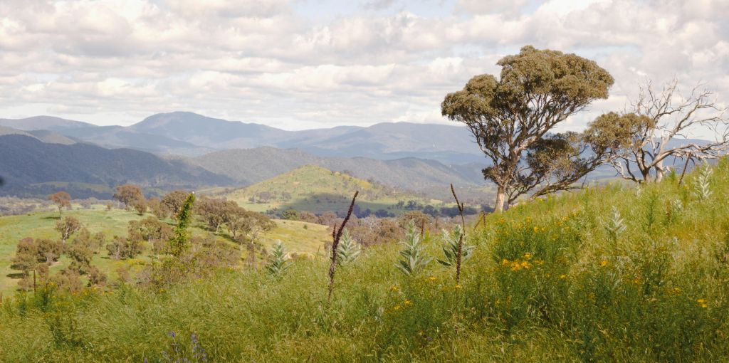 allan sharp P3646x7tBW4 unsplash